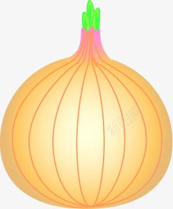 洋葱果蔬图标png_新图网 https://ixintu.com 图标 果蔬 洋葱 素材