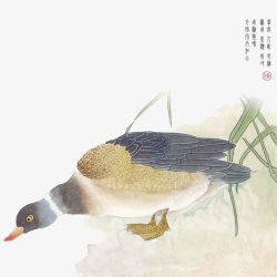 水彩中国风鸭子喝水素材