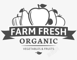 蔬菜水果标签矢量图素材