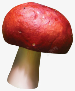 红色漂亮蘑菇素材
