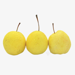 正面实拍好吃的三个梨子高清图片