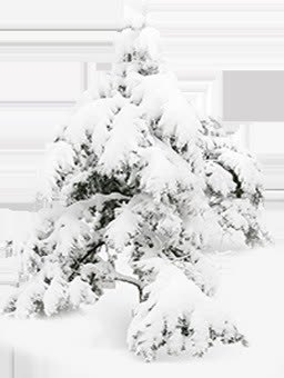 雪景冬日场景png免抠素材_新图网 https://ixintu.com 冬日 场景 设计 雪景