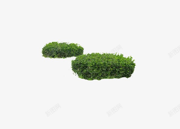 绿化植被png免抠素材_新图网 https://ixintu.com 植被 绿化 绿化植被模板下载