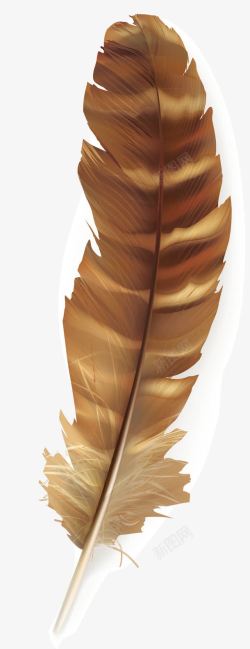 褐色羽毛装饰素材