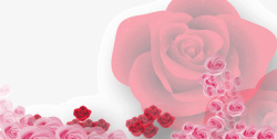 玫瑰花背景图素材
