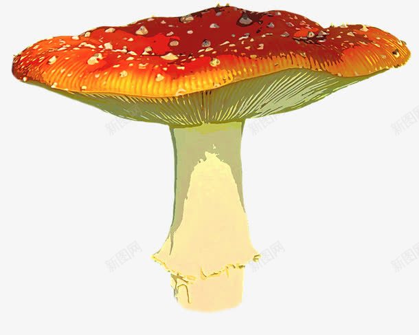 可爱的蘑菇手绘png免抠素材_新图网 https://ixintu.com 手绘 植物 生物 自然 菌 蘑菇