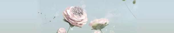 梦幻粉色花朵海报jpg设计背景_新图网 https://ixintu.com 梦幻 海报 粉色 花朵