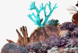 褐色简约珊瑚边框纹理素材