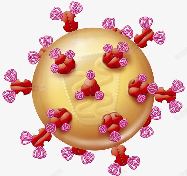 病原体细胞图标png_新图网 https://ixintu.com 抗体 标记细胞 病原体 胆固醇