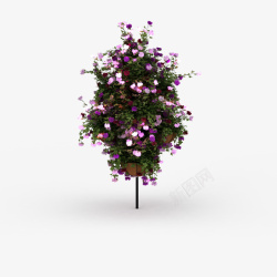 紫色鲜花束素材