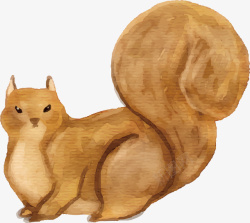 毛茸茸的小松鼠图片水彩手绘毛茸茸的松鼠矢量图高清图片