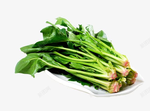盘里洗干净的植物png免抠素材_新图网 https://ixintu.com 叶子 根部 植物 绿色 蔬菜 食品