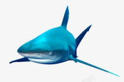 蓝色鱼鳍水墨鲨鱼高清图片