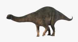 行走长脖子恐龙大体积3D恐龙高清图片