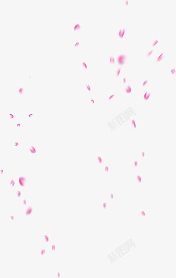 乱舞的粉色花瓣素材