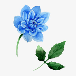 手绘水彩蓝色花朵绿色树叶素材