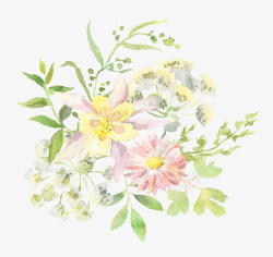 手绘水彩花朵花卉素材