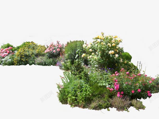 摄影景区鲜花园林植物png免抠素材_新图网 https://ixintu.com 园林 摄影 景区 植物 鲜花