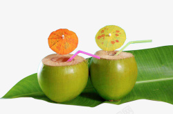 生榨椰子果汁生榨椰子水装饰实物高清图片
