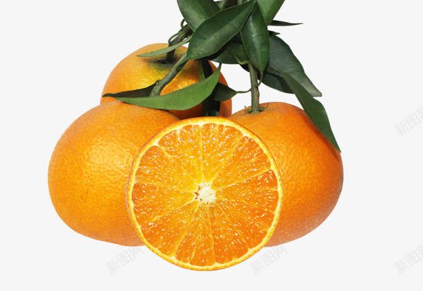 鲜甜的橙子png免抠素材_新图网 https://ixintu.com 新鲜水果 橙子 甜橙 脐橙