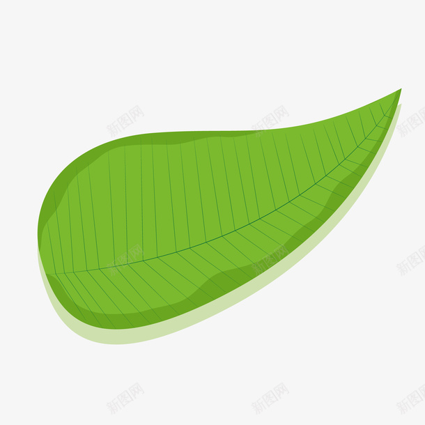 卡通绿色的植物叶片矢量图ai免抠素材_新图网 https://ixintu.com 卡通 叶片设计 手绘 植物 绿色 装饰植物 矢量图