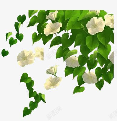树叶间的白色花朵手绘插画png免抠素材_新图网 https://ixintu.com 插画 树叶 白色 花朵