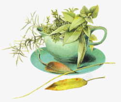 绿色树叶茶杯咖啡杯素材