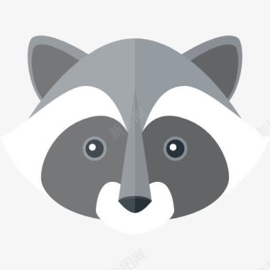 Racoon图标图标