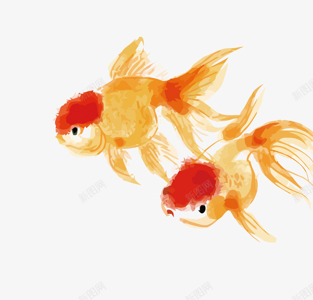 水墨金鱼矢量图eps免抠素材_新图网 https://ixintu.com PNG图片 PNG图片素材 PNG素材 PNG素材免费下载 中国风 水墨 金鱼 矢量图
