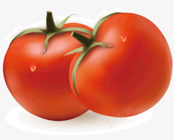 两个番茄矢量图素材