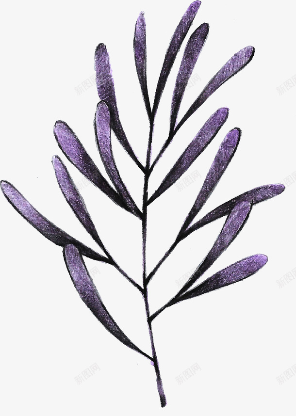紫色手绘树叶png免抠素材_新图网 https://ixintu.com 叶子 树叶 植物 水彩叶子 紫色