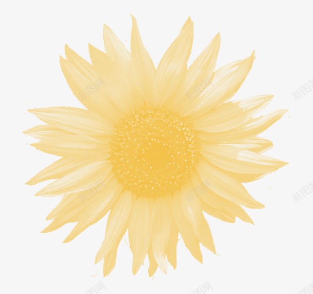 植物花卉抽象鲜花png免抠素材_新图网 https://ixintu.com 唯美背景图片 手绘花朵 手绘花朵图片 抽象花朵 花朵图片 鲜花 鲜花元素