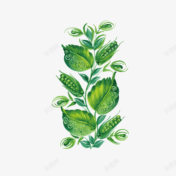 手绘绿植png免抠素材_新图网 https://ixintu.com 叶子 矢量装饰 绿植 装饰 装饰画
