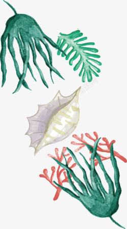 绿色海螺绿色水草海螺花纹高清图片