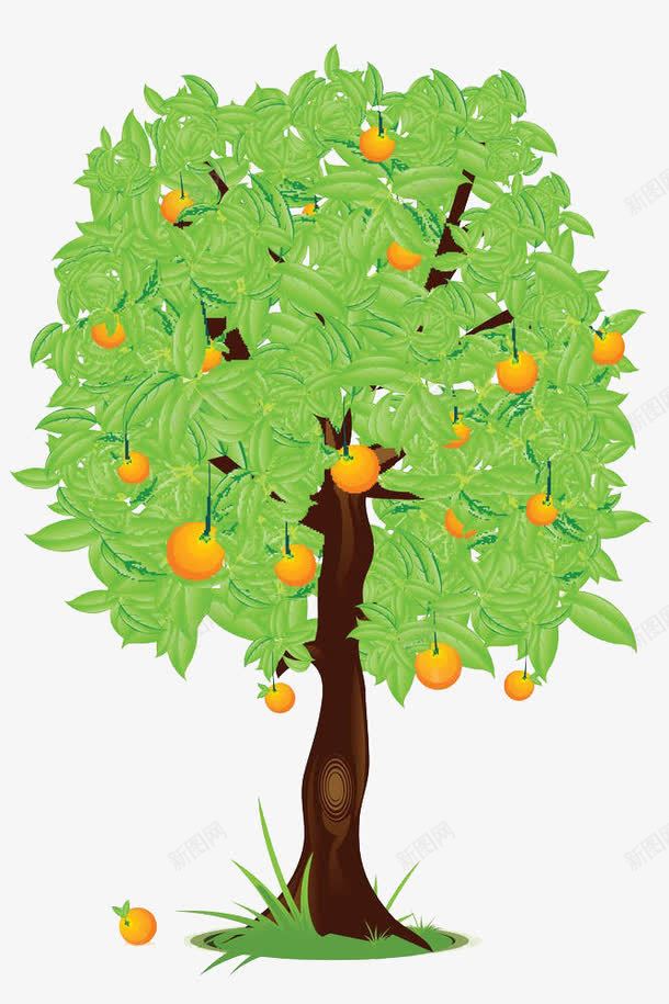 树木png免抠素材_新图网 https://ixintu.com 果树 橘子 橘树 水果 绿叶