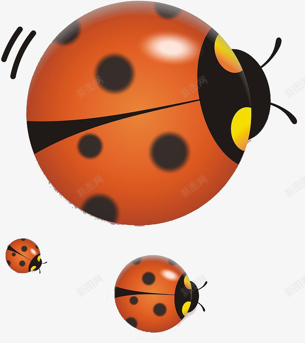 瓢虫的一家子png免抠素材_新图网 https://ixintu.com 可爱的瓢虫 大的六星瓢虫 瓢虫的一家三口 红色的瓢虫