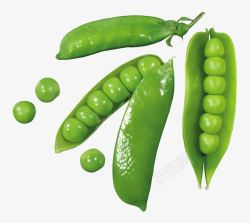 绿色食品豌豆素材