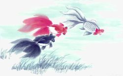 黑白红鱼水墨画3条鱼年年有鱼高清图片