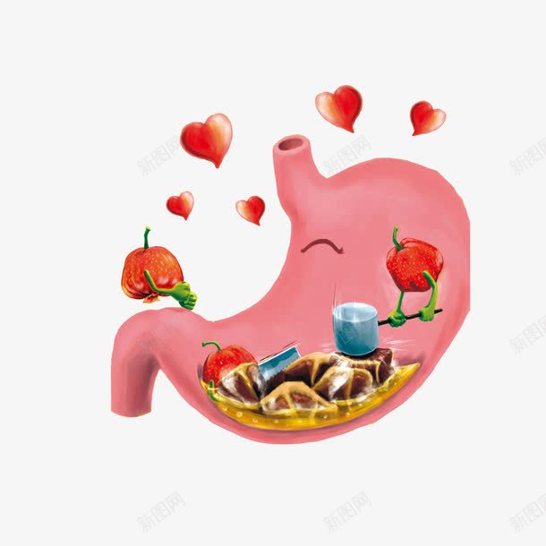 给胃做消化的山楂png免抠素材_新图网 https://ixintu.com 卡通山楂 吃山楂有助消化 消化道 给胃做消化的山楂