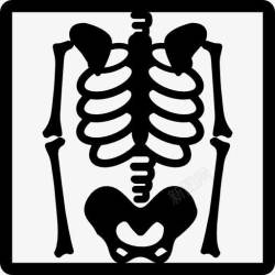 骨架PNG图骨架图X射线图标高清图片