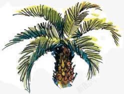 创意漫画风格手绘椰子树素材