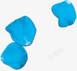 蓝色创意装饰花瓣png免抠素材_新图网 https://ixintu.com 创意 花瓣 蓝色 装饰