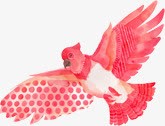 红色涂鸦教师节鸟形状素材