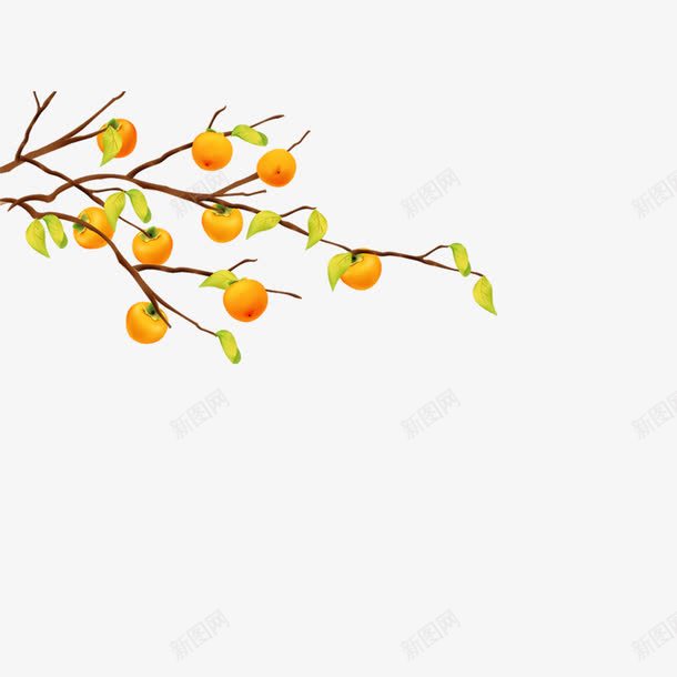 卡通橘子树png免抠素材_新图网 https://ixintu.com 卡通 橘子 橘子树