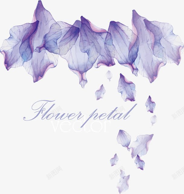 创意元素紫色花卉纹理png免抠素材_新图网 https://ixintu.com 元素 创意 紫色 纹理 花卉