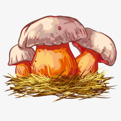 手绘蘑菇食物草菇植物食品素材
