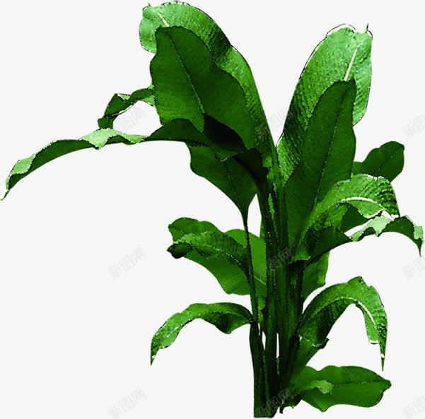 绿色纹理树叶植物png免抠素材_新图网 https://ixintu.com 树叶 植物 纹理 绿色
