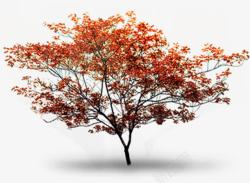 红色树叶别墅景观素材