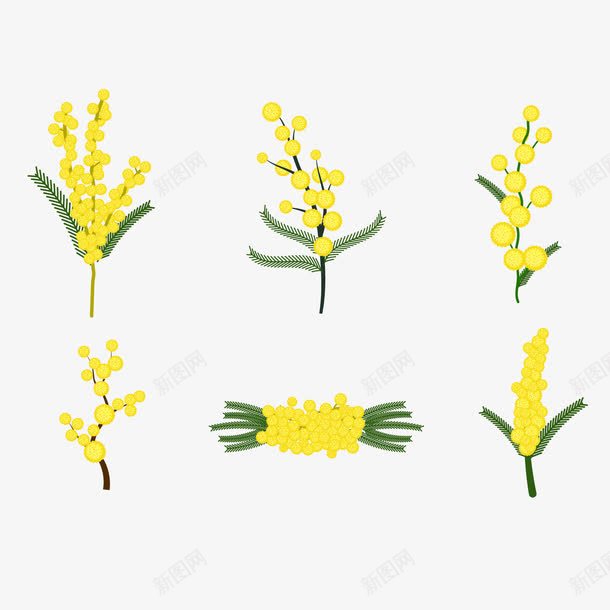 玉米花的图png免抠素材_新图网 https://ixintu.com 玉米 绿叶 花朵朵 黄色的