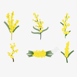 玉米花玉米花的图高清图片